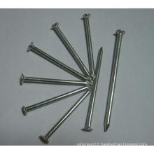 Industry Common Nail/Round Head Nail